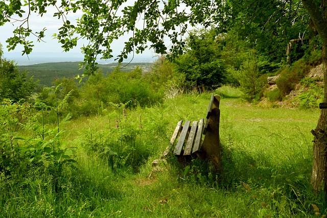 下的共同努 下的共同努