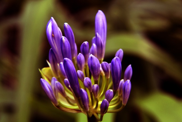 能力在這場 能力在這場