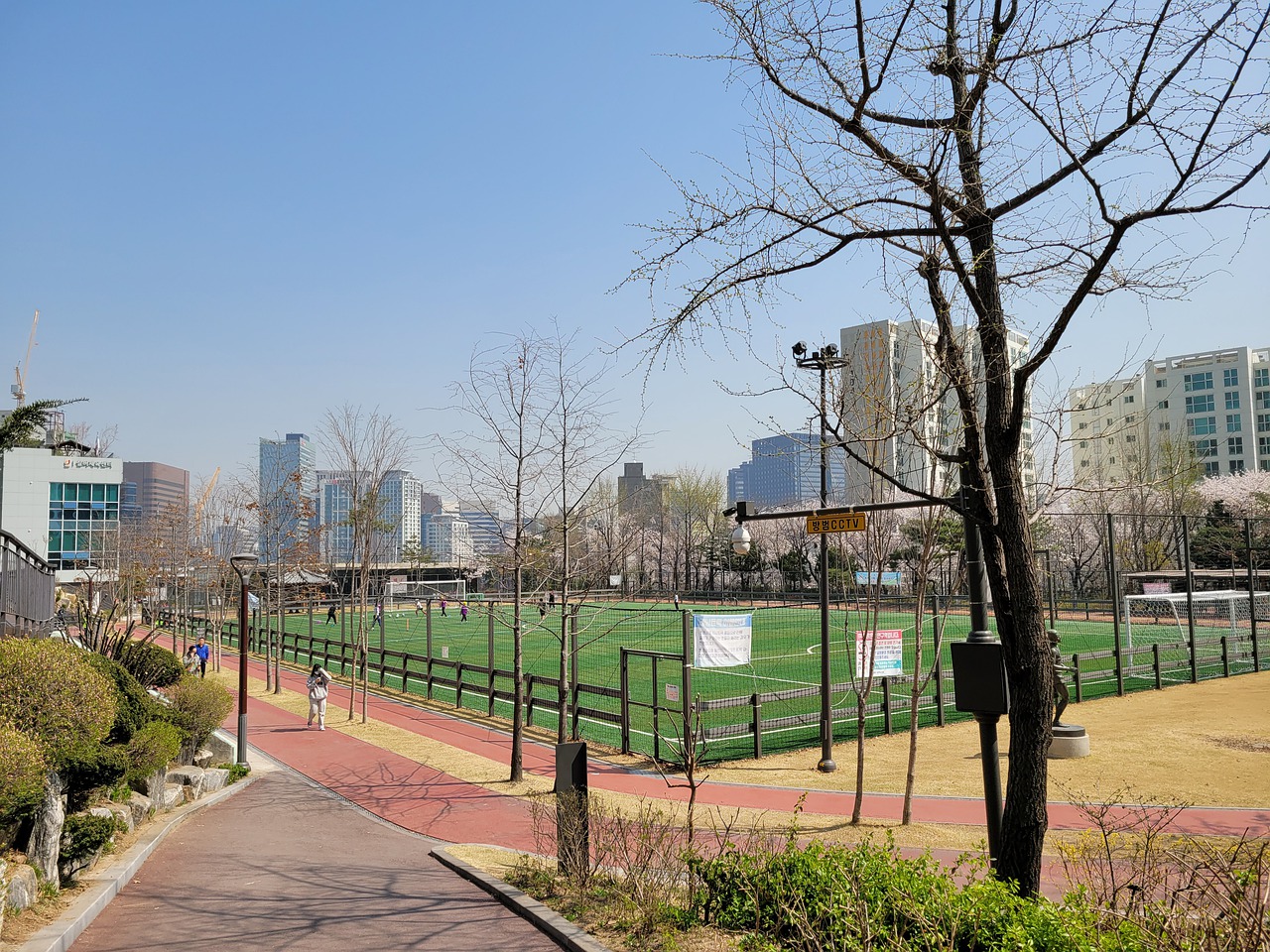 十分明显 十分明显