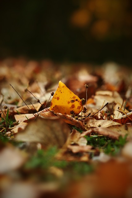 常尝试追分 常尝试追分