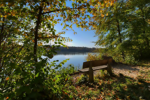 利益与团队 利益与团队