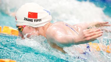 持久的国际 持久的国际